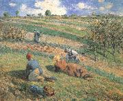 Camille Pissarro Field work oil painting reproduction